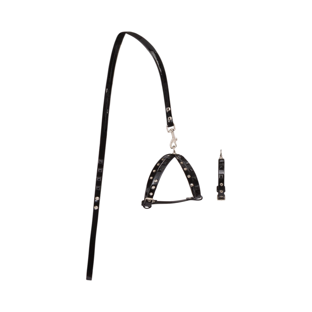 Equus Primus Selleria Noir Block Lead