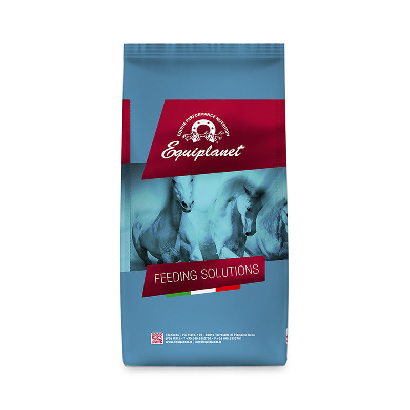 EQUIPLANET FAT FIBER