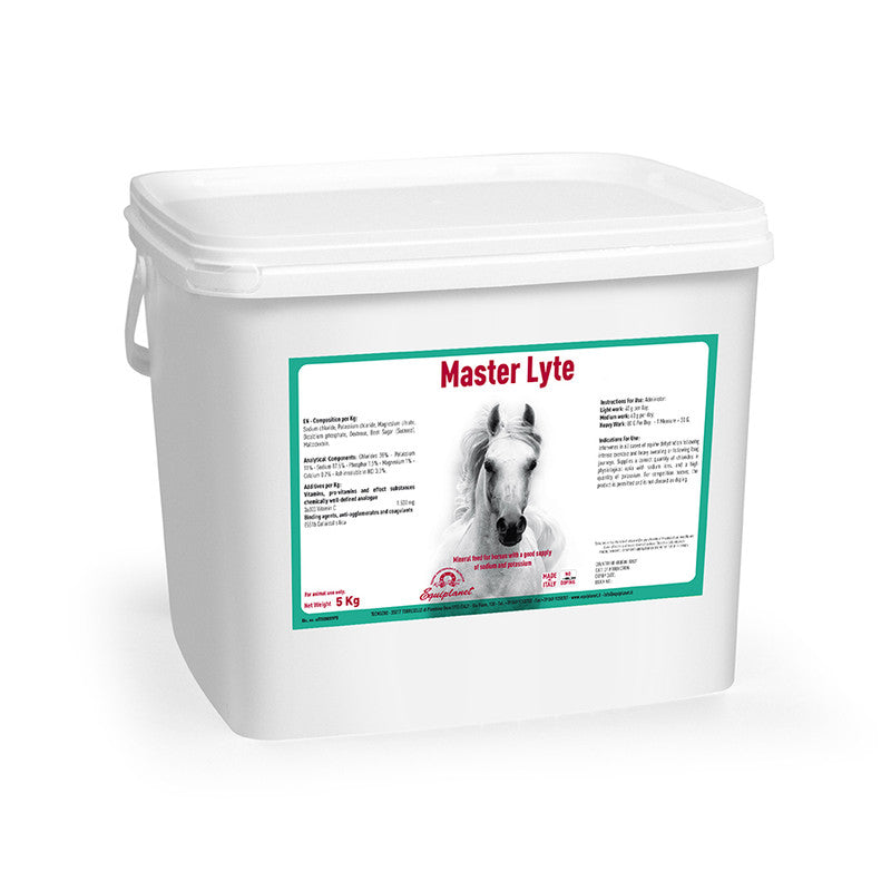 EQUIPLANET MASTER LYTE